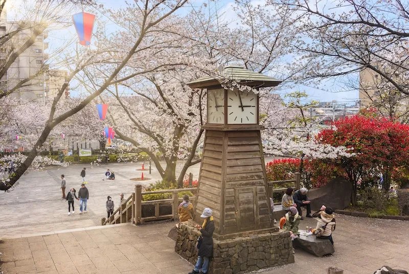 🌳 아스카야마 공원 (飛鳥山公園) 이미지 5